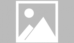 唯美的爱在线观看