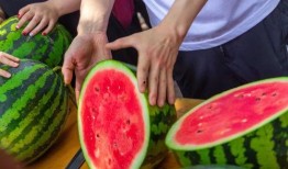 吃瓜免费咨询,轻松获取热门资讯的秘诀