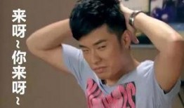 陈剑爆料王珞丹了吗视频,视频爆料真相大白